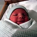 Nathaniel Adams Photo 16