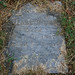 Elizabeth Ennis Photo 23