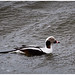 Sandy Long Photo 16