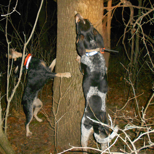 Terry Monroe Photo 41