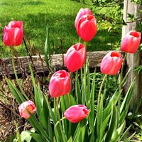 Mary Poston Photo 24