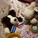 Shaun Read Photo 17