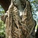 Debra Lucas Photo 26