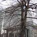 Leslie Norman Photo 19