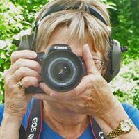Deborah Cousineau Photo 7