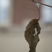 John Harwood Photo 30