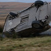 Andrea Atkinson Photo 17