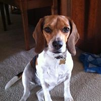 Maggie Robbins Photo 20