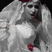 Patricia Reimer Photo 12