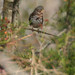 Marty Fox Photo 21