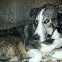 Frankie Garrison Photo 13