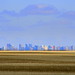 Regina Wheat Photo 15