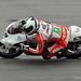 Louis Rossi Photo 16