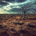 Jason Lloyd Photo 15