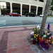 Judy Peterson Photo 32