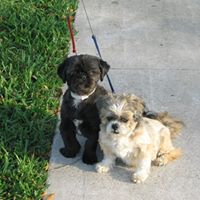 Joyce Gerber Photo 15