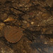 Stephen Shell Photo 21