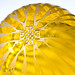 Jonathan Cohn Photo 37