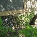 Charles Broderick Photo 16