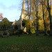 Lawrence Godwin Photo 11