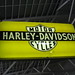 Walter Davidson Photo 10