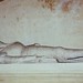 Francis Helms Photo 10