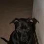 Isaac Martin Photo 35
