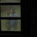 Susan Wiley Photo 9