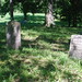 James Latham Photo 22