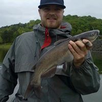 Justin Stallings Photo 32