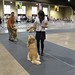 Carol Bradshaw Photo 30