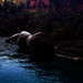 Allie Sharp Photo 1