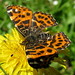 Christian Gramm Photo 10