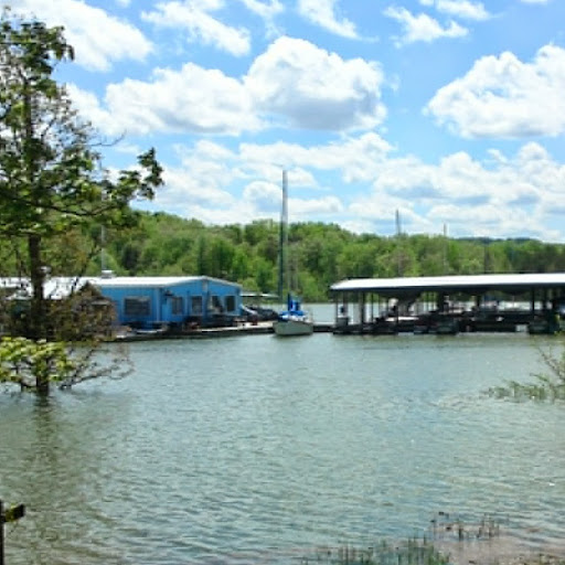 Ann Blevins Photo 9