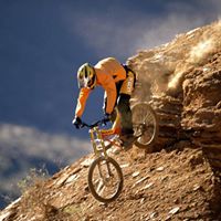 David Roos Photo 38