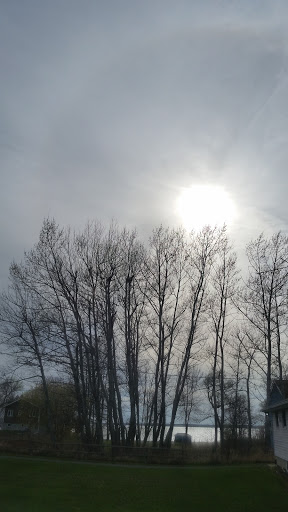 Janice Walker Photo 24