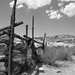 Wesley Wolfe Photo 12