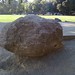 Walter Hays Photo 17