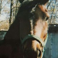Ann Monroe Photo 28