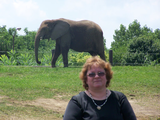 Pamela Mccullough Photo 9