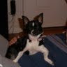 Lisa Leahy Photo 14