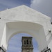 Tamara Campanile Photo 2