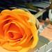 Cong Liu Photo 9