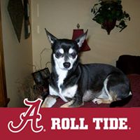 Darlene Grimes Photo 9