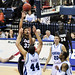 Steven Gray Photo 26