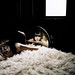 Brenda Holmes Photo 33
