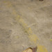 Amy Beecher Photo 22