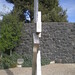 David Vi Photo 11