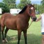 Helen Conner Photo 27