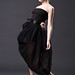 Dave Conti Photo 14